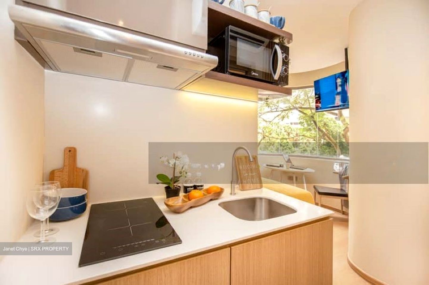 Mount Elizabeth Link (D9), Apartment #483377601